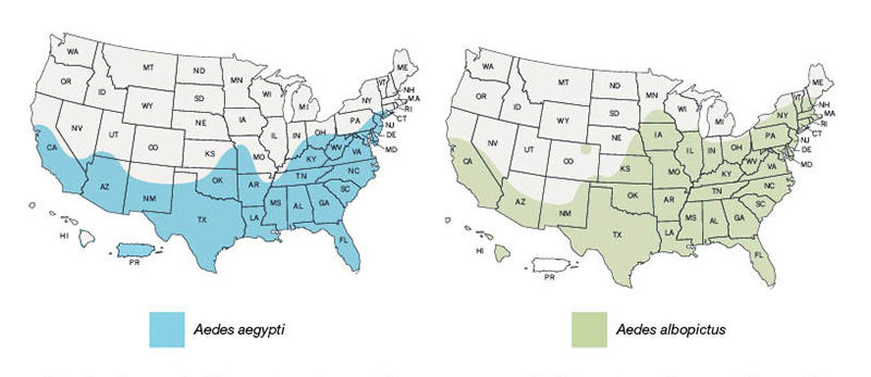 aedes aegypti and albopictus range in USA